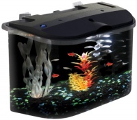 Aquarius Aq15005 Aquarius 5 Rounded 5-Gallon Aquarium Kit Aquarius Aq15005 Aquarius 5 Rounded 5-Gallon Aquarium Kit