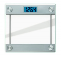 Taylor 7519 Thick Glass Scale with LCD Blue Backlit Display Taylor 7519 Thick Glass Scale with LCD Blue Backlit Display