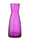 Bormioli Rocco Ypsilon Jugs, Fuschia, Set of 6