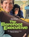 The Barefoot Executive