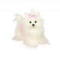Webkinz Yorkie Webkinz Yorkie