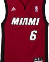 NBA Miami Heat LeBron James Alternate Youth Jersey (Garnet, Medium)