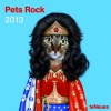 2013 Pets Rock Wall Calendar
