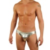 Mens Liquid Metallic Contour Pouch Bikini Swimsuit By Gary Majdell Sport