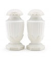 Lenox has been an American tradition for more than a century, combining superior craftsmanship with understated sophistication. The oversized Butler's Pantry dinnerware and dishes collection adds a vintage touch to your formal gatherings, in durable embossed white china with a dressy high sheen.