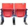 Steiner Sports NFL New York Giants Meadowlands Non-Specific Seat Pair (Red)