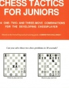 Winning Chess Tactics for Juniors