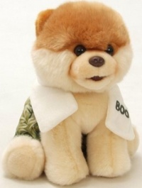 Gund Boo The World's Cutest Dog With Swim Trunks & Towel 9 Plush Toy (Limited Quantity)