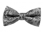 100% Silk Woven Platinum Paisley Self-Tie Bow Tie