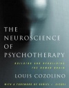 The Neuroscience of Psychotherapy: Healing the Social Brain (Second Edition)  (Norton Series on Interpersonal Neurobiology)