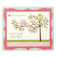 C.R. Gibson First Year Calendar, Happi Baby Girl C.R. Gibson First Year Calendar, Happi Baby Girl