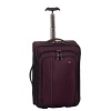 Victorinox Luggage Werks Traveler 4.0 Wt 20-Inch Carry On Bag, Purple, One Size