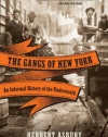 The Gangs of New York: An Informal History of the Underworld (Vintage)