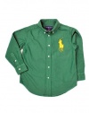 Polo Ralph Lauren Boys Big Pony Blake Oxford, Green, 4/4T