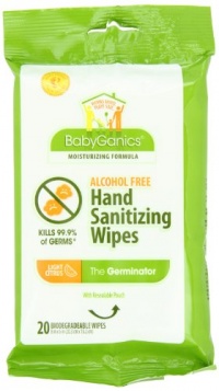 BabyGanics Alcohol Free Hand Sanitizer Wipes, On the Go Soft Pack, Light Citrus Scent, 20-count Pouch (Pack of 4) BabyGanics Alcohol Free Hand Sanitizer Wipes, On the Go Soft Pack, Light Citrus Scent, 20-count Pouch (Pack of 4)