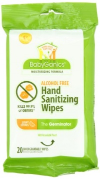 BabyGanics Alcohol Free Hand Sanitizer Wipes, On the Go Soft Pack, Light Citrus Scent, 20-count Pouch (Pack of 4)