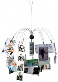 Kikkerland Spider Photo Clip Hanging Mobile Kikkerland Spider Photo Clip Hanging Mobile
