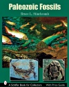 Paleozoic Fossils (Schiffer Book for Collectors)