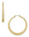 A cool combination of shape and sparkle, ABS by Allen Schwatz' gold-plated hoop earrings are a dazzling choice. The striking pair rotate in after-hours.