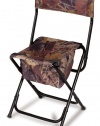 Ameristep High Back Chair