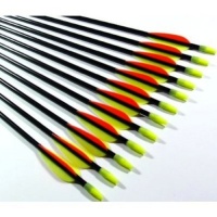 Shiny Black Fiberglass Target Practice Arrows 30 (1 Dozen) Shiny Black Fiberglass Target Practice Arrows 30 (1 Dozen)