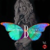 B In The Mix, The Remixes Vol. 2