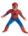 Toddler Muscle Spiderman Costume