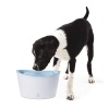 Hagen Dogit Design Fresh and Clear Dog Drinking Fountain, Original