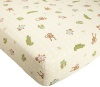 Lambs & Ivy Papagayo Sheet, Green