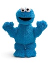 Add Cookie Monster to your child's collection. He's cute, soft and always hungry. In plush faux fur.