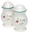 Pfaltzgraff Winterberry Stoneware Salt-and-Pepper Set