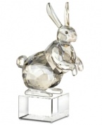 Get spiritual with the zodiac symbol for peace, stability and tranquility – the rabbit. Captured in smooth and faceted silvertone crystal, this Swarovski figurine features an authentic Asian design atop a base engraved with English and Chinese seal script.