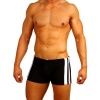 Mens New Side Stripe Boxer Swimsuit Gary Majdell Sport