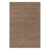 This area rug complements any modern living space. Soft, thin yarn blend with thick felted wool which prevents pilling.