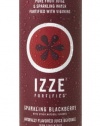 IZZE Fortified Sparkling Juice, Blackberry, 8.4-Ounce Cans (Pack of 24)