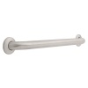 Safety First S1F5624SS 24-Inch by 1-1/2-Inch Concealed Mounting Grab Bar, Stainless Steel