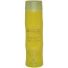 Bamboo Shine Luminous Shine Shampoo Unisex Shampoo by Alterna, 8.5 Ounce