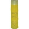 Bamboo Shine Luminous Shine Shampoo Unisex Shampoo by Alterna, 8.5 Ounce