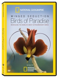 Winged Seduction: Birds of Paradise