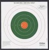 Allen Company Remington 100 Yard Bullseye Sight-In Target, 12 Pack