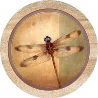 Dragonfly Parchment Sandstone Thirstystone Coasters Dragonfly Parchment Sandstone Thirstystone Coasters