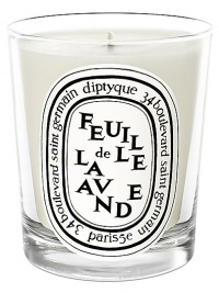 The candle, both green and floral, calls to mind the lavender fields in the South of France. It is the whole plant, and not just its flower, that is celebrated, which gives this candle a more complex fragrance than traditional lavenders.Herbal 50-60 hours burn time Keep wick trimmed to ½ to ensure optimal use Hand poured and made in France 