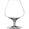 Spiegelau Hybrid Cognac XL, Set of 2