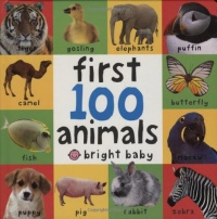Big Board First 100 Animals (First Words) Big Board First 100 Animals (First Words)