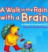 A Walk in the Rain with a Brain