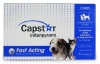 Capstar Flea Treatment Dog (Blue), 2-25 lbs, 6 tablets