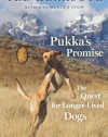 Pukka's Promise: The Quest for Longer-Lived Dogs