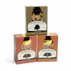 Charcoal Companion Maple, Cherry and Apple Wood Chips Sampler Pack