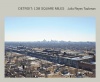 Julia Reyes Taubman: Detroit: 138 Square Miles