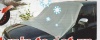 SUV/Truck Snow Cover